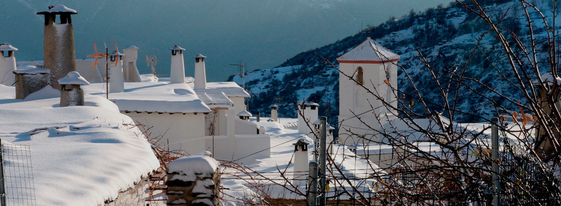 Inmobiliaria Alpujarra Home, Trust services. Alpujarra Home en Órgiva