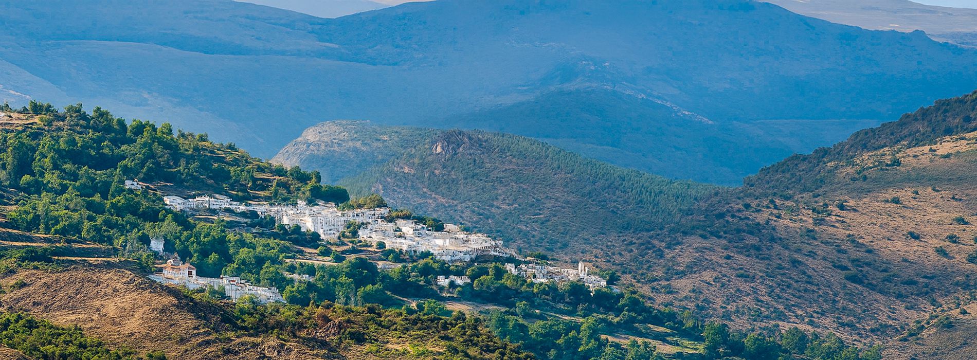 Contact us. J & J ASESORES CONSULTORES, S.L. en Órgiva